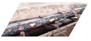 High temperature resistant conveyor belt